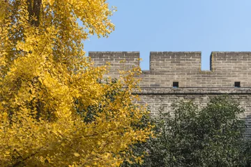 Tuinposter the ancient city wall of xi'an © lujing