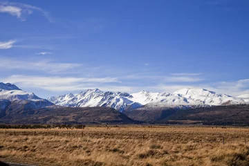 Foto op Plexiglas South Island Landscape, New Zealand © enjoynz