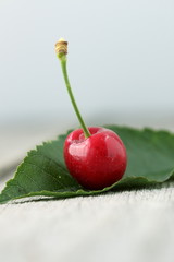 Close up of a single red Cherry on wooden board