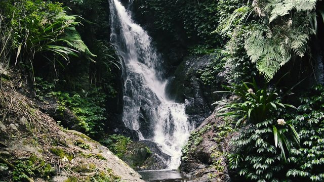 Waterfall in Lamington National Park in Queensland, Australia.