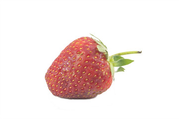 one strawberry close up on white background