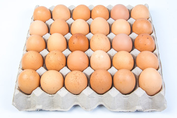 Egg in an egg crate on white background