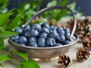 Blueberries in a silver vase on a background of leaves and cones