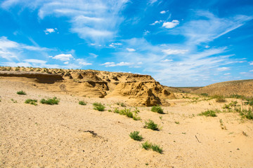 Fototapeta na wymiar Desert landscape on a summer day.