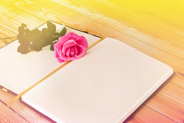 Blank diary note with pink rose in dreamy soft mood colour
