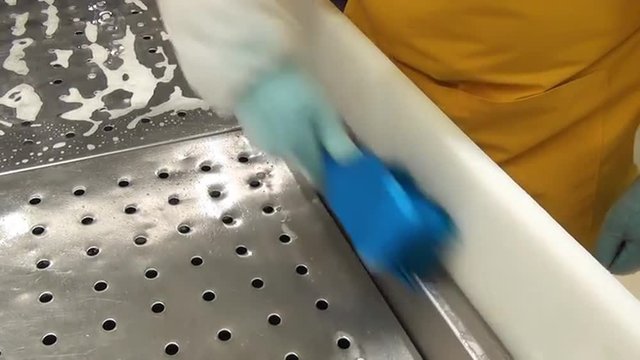 Cleaning the tray of frozen fish. Cleaning of premises and equipment in the food industry, supermarkets, warehouses with food and other similar places.