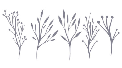 Obraz premium Vector set of delicate leaves and herbs for your creativity