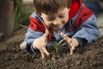 sprout in children hand