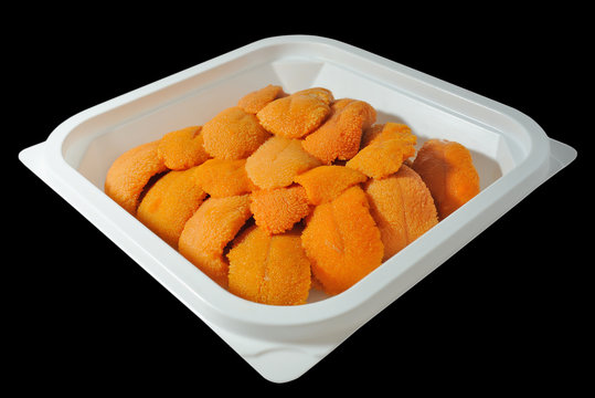 Uni Sea Urchin It Is Packed