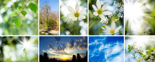 Fotobehang image of mix beautiful views of nature close-up © cooperr