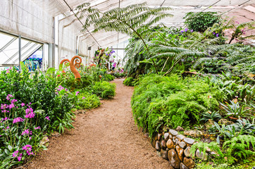 Greenhouse garden with a variety of plants and flowers