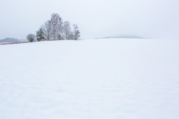 Fototapeta na wymiar Winter field under cloudy gray sky
