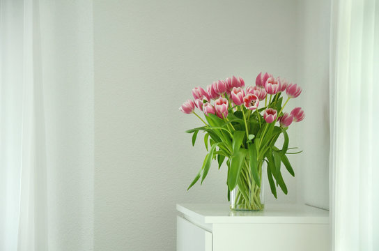 Pink tulips in a glass vase on white background 