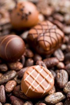chocolate pralines and cocoa beans