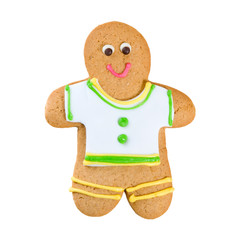 Isolated image of delicious gingerbread close-up