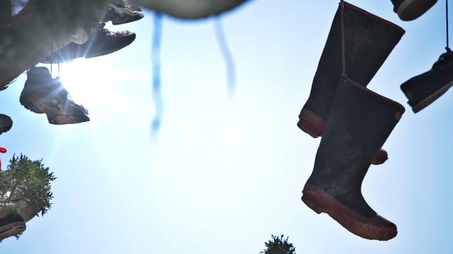 Shoes dangling from a tree