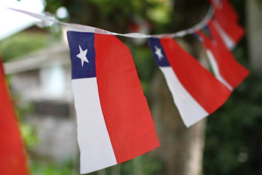 Chilean Flags