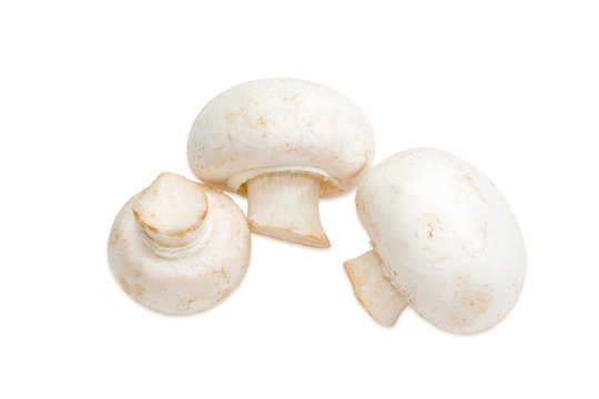 Three champignon mushroom on a light background