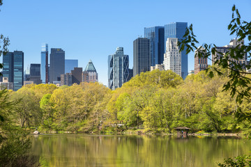 Fototapeta na wymiar High rise buildings around Central Park