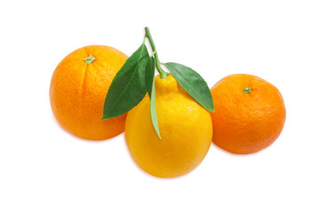 Mandarin orange, lemon and  orange on a light background