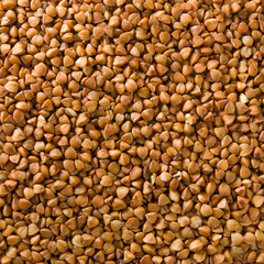 image  of roasted buckwheat close-up