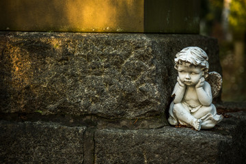 Angel Statue in Nature on Stone