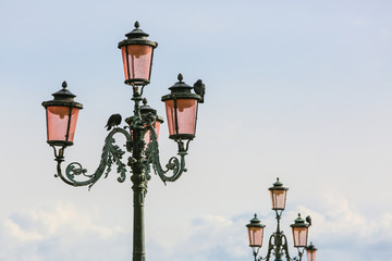 Fototapeta na wymiar lampadère reverbère lumière ville pigeon capital paris venise paris