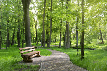 Bench in a beautiful summer park - obrazy, fototapety, plakaty