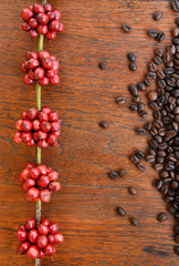 Coffe beans and fresh berries beans on wooden backgourng