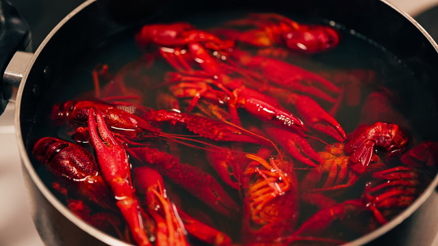 Crayfish are boiled in a pot.