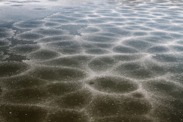 The ice surface