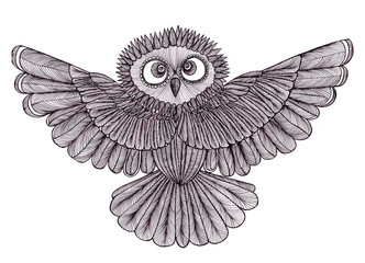 Fototapeta premium Graphic illustration of flying owl. Black and white style. Hand