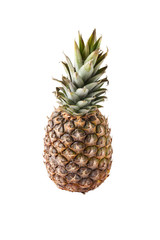 Fototapeta premium Pineapple isolated on a white background