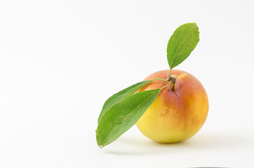 golden plum