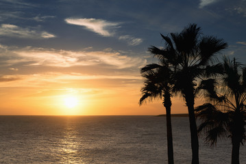 Fototapeta na wymiar Beautiful sunset on the beach with palm tree