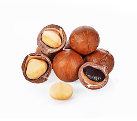 macadamia nuts isolated on whited background