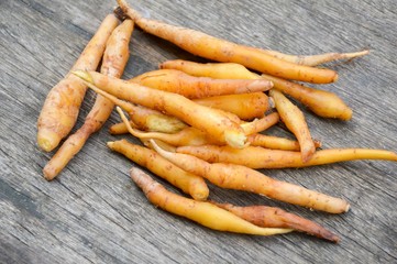 fresh fingerroot on wood plank