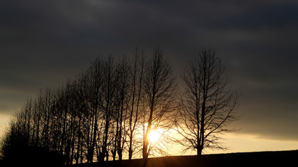 冬の夕陽