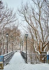 winter city park in morning