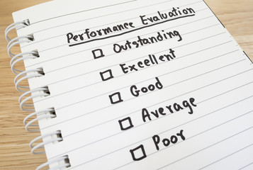 Performance Evaluation check box 10