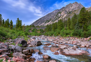 Small mountain river in Siberia