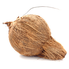 Coconut Kernel; non sharpen