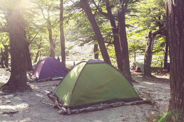 Tent in the forest