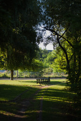 Park bench near the Schwänchenteich, Frankfurt (Oder), Germany