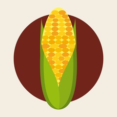 fresh corn design 
