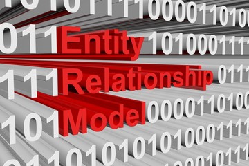 entity relationship model is represented as a binary code