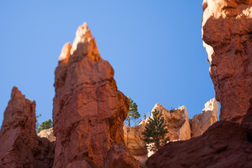 Fototapeta na wymiar Bryce Canyon
