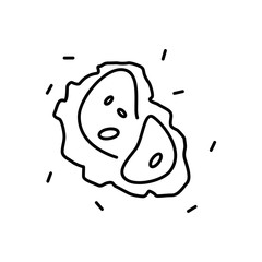 Bacteria and germs  icon in thin line style