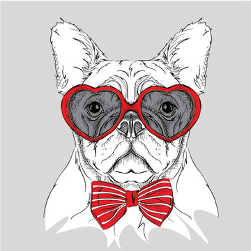 Picture of portrait of a dog with the heart shaped glasses.  Vector illustration.