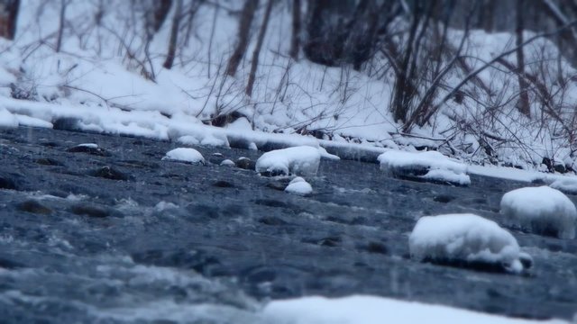 rivi&egrave;re en hiver
